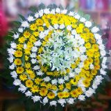 西华开业花篮